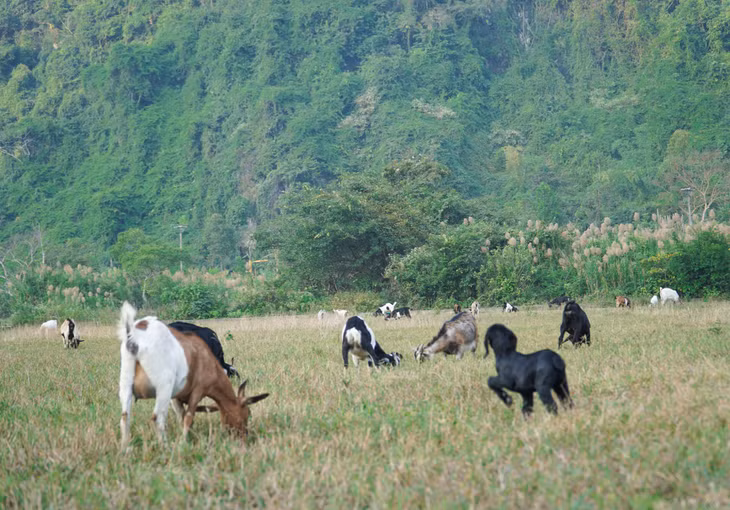So với các làng chài khác ở Cát Bà, Việt Hải hiện vẫn giữ được nét văn hóa đặc trưng của những ngôi làng vùng đồng bằng Bắc Bộ (Ảnh: Nguyễn Hoài Thương, Minh Tùng Nguyễn).