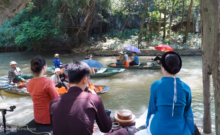 Mùa vàng ở Tam Cốc ảnh 9