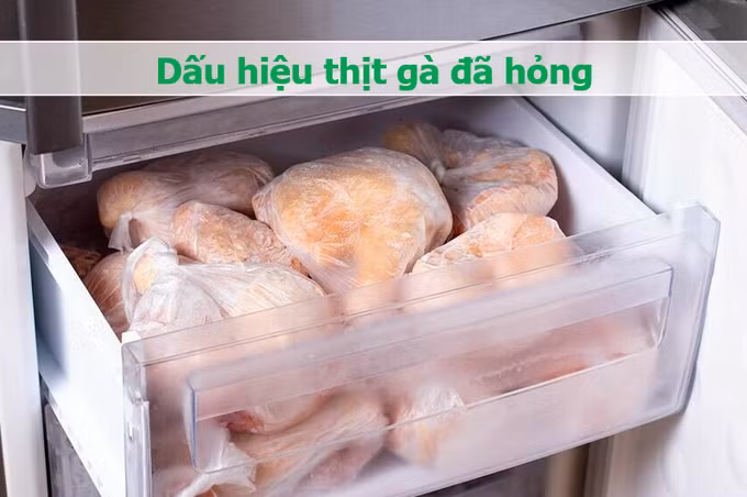 Thịt gà sống và nấu chín bắt đầu chuyển sang màu xanh xám là đã bị hỏng (Đồ họa: Minh Nhật).