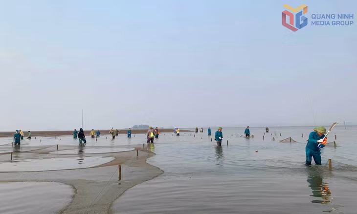 Xã Đầm Hà tổ chức ra quân xử lý vi phạm trong sử dụng bãi triều, khu vực biển trên địa bàn xã, tháng 4/2026.