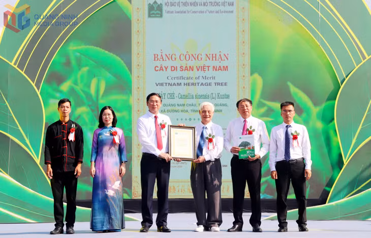 Lãnh đạo xã Đường Hoa nhận bằng công nhận Cây chè di sản Việt Nam đối với 2 cây chè cổ trên dãy Quảng Nam Châu, thuộc địa phận rừng phòng hộ Trúc Bài Sơn, xã Đường Hoa.