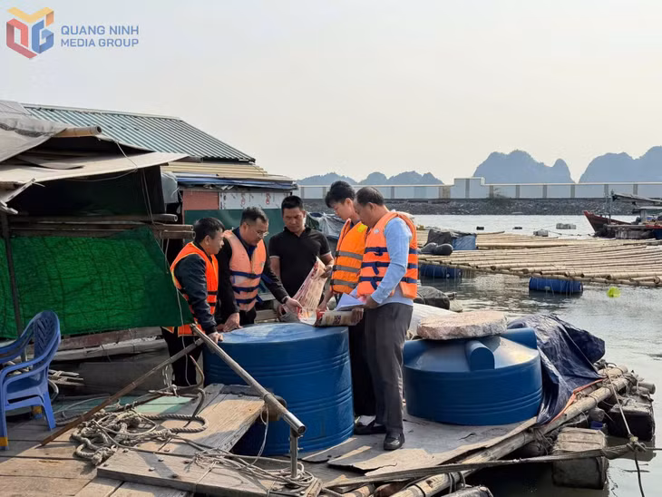 ĐVTN khu phố 15, phường Quang Hanh, tham gia tuyên truyền chuyển đổi số trực tiếp trên tàu, bè ngư dân.