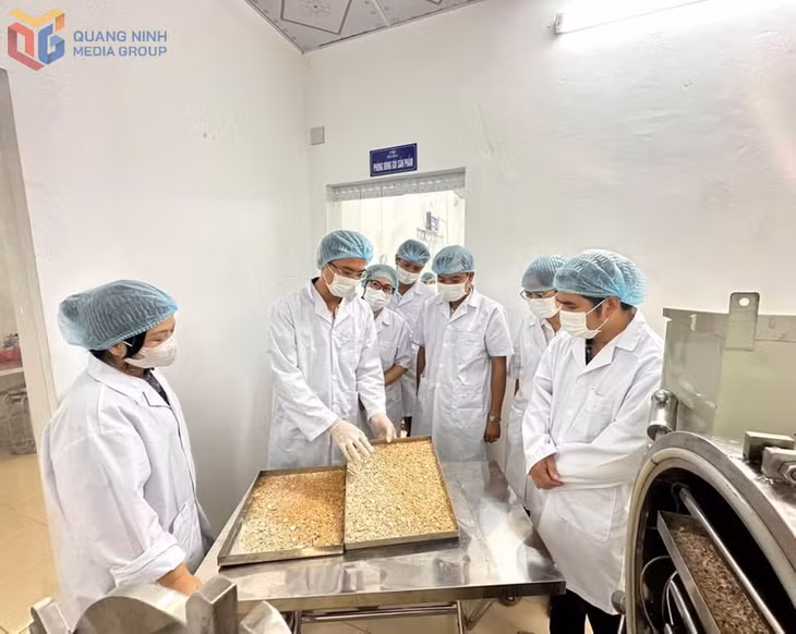 Sở KH&CN tổ chức kiểm tra tiến độ thực hiện nhiệm vụ KHCN cấp tỉnh tại Công ty TNHH Thanh Tùng Vân Đồn.