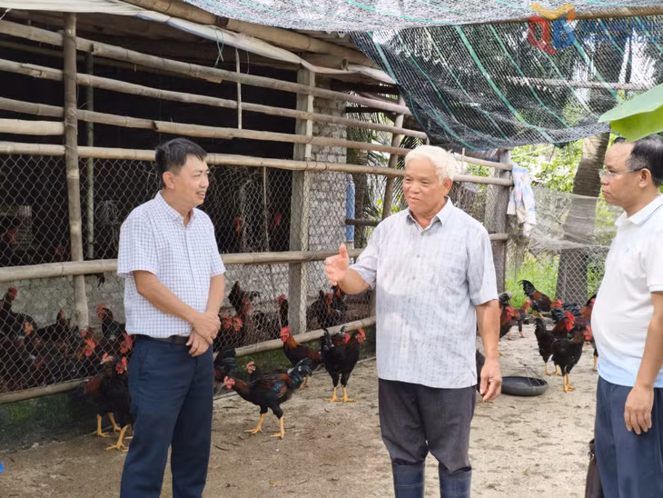 Lãnh đạo chi cục Chăn nuôi và Thú y (Sở NN&MT) nắm tình hình phòng dịch cho đàn vật nuôi của hộ dân trên địa bàn phường Liên Hòa.