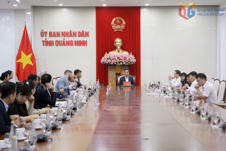Đồng chí Vũ Văn Diện, Phó Chủ tịch Thường trực UBND tỉnh chủ trì buổi làm việc.