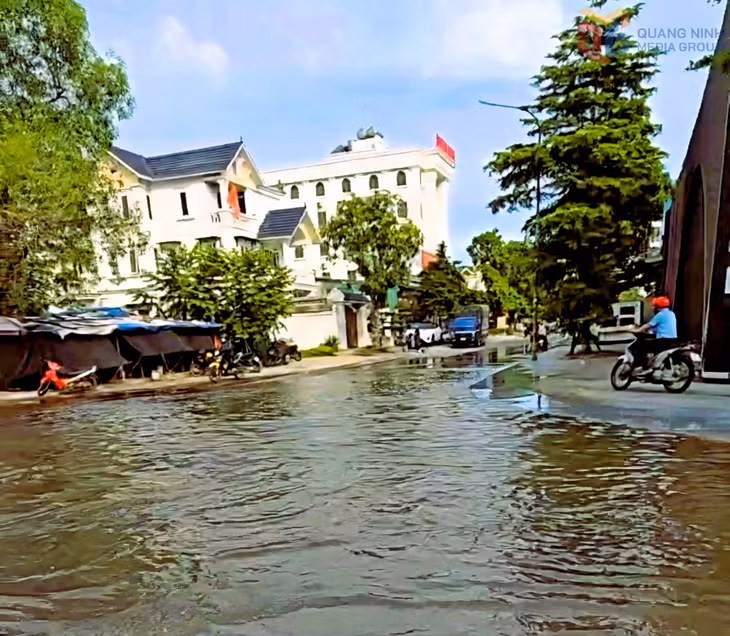 Ngã tư giao giữa đường Trần Thái Tông và đường Nguyễn Thái Học, phường Hồng Gai thường xuyên bị ngập mỗi khi triều cường.