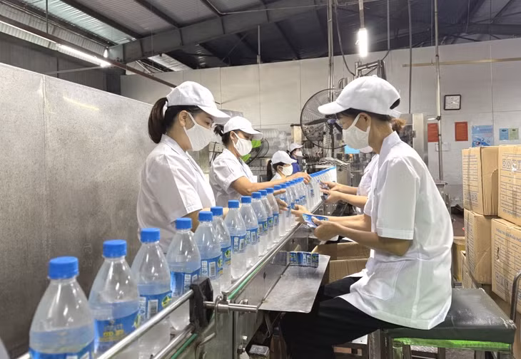 Hoạt động đóng gói sản phẩm tại Công ty TNHH MTV Nước khoáng Công đoàn Quang Hanh (phường Quang Hanh).