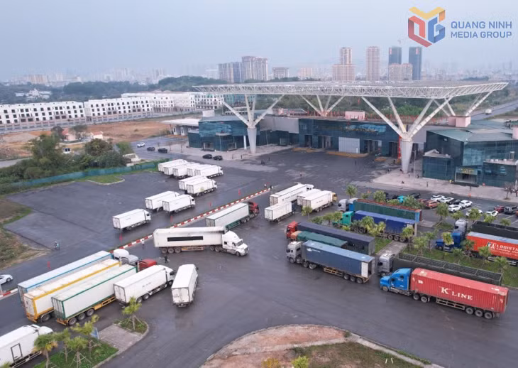 Phương tiện tham gia hoạt động XNK qua khu vực cầu Bắc Luân II (Cửa khẩu quốc tế Móng Cái) vào các ngày cuối tuần.