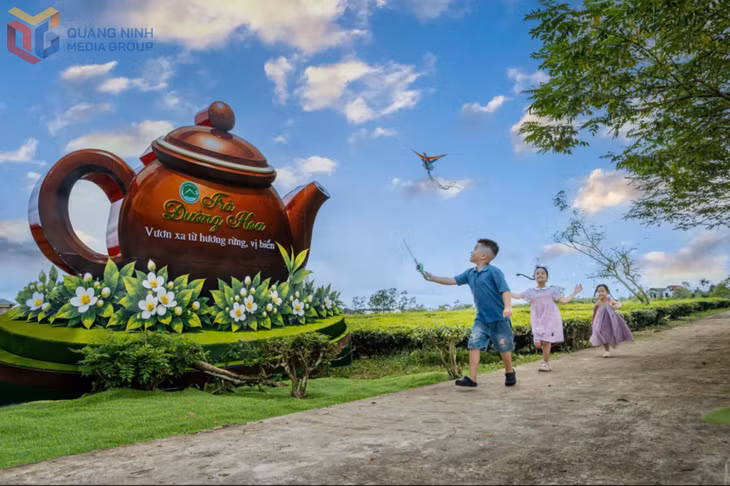 Tại lễ hội, UBND xã Đường Hoa đón nhận Bằng công nhận Cây chè Di sản Việt Nam.