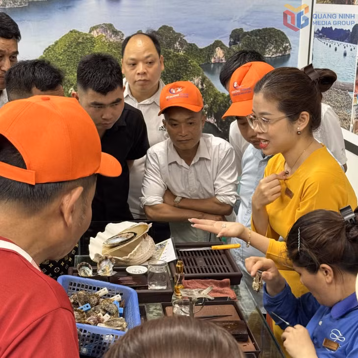 Du khách tìm hiểu quy trình nuôi cấy ngọc trai, sản phẩm OCOP đạt 5 sao quốc gia của Công ty CP Ngọc trai Hạ Long.