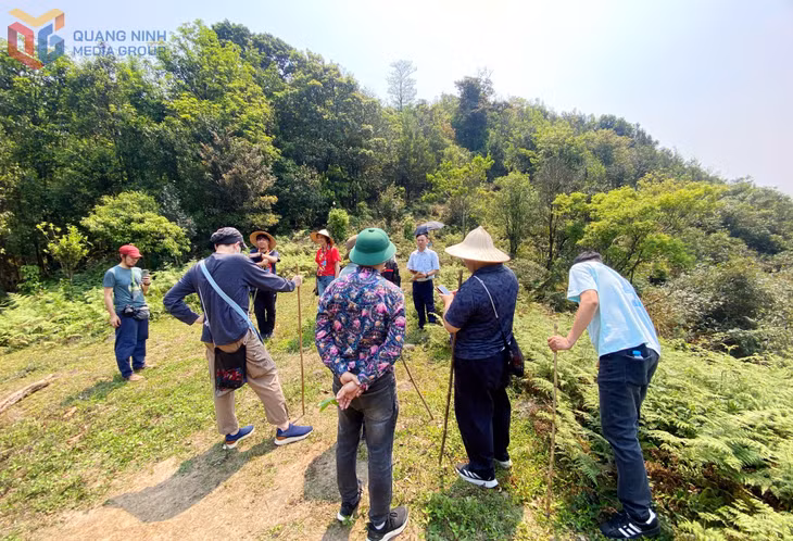 Xã Hoành Mô đang quan tâm phát triển những tour trekking, khám phá các khu rừng cổ thụ, cây di sản.
