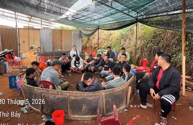 Tụ điểm đá gà ăn tiền tại phường Lâm Viên - Đà Lạt vừa bị công an triệt phá. Ảnh: Công an cung cấp