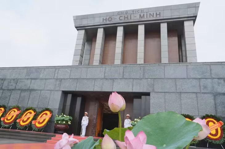 Hoa sen nở bên Lăng Bác.