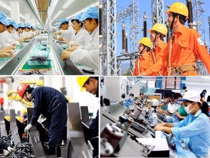 Một cá nhân được bổ nhiệm làm Chủ tịch Hội đồng thành viên, thành viên Hội đồng thành viên, Chủ tịch công ty không quá 02 nhiệm kỳ tại một doanh nghiệp