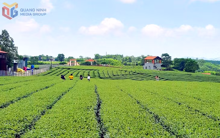 Ngoài giá trị văn hóa đặc sắc, Đường Hoa còn có cảnh quan sinh thái đẹp, hấp dẫn, có sức hút lớn với du khách.
