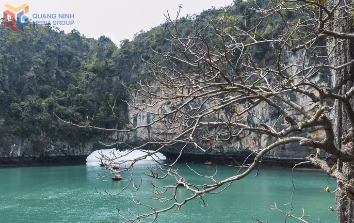 Chiếc cổng đá tự nhiên khổng lồ dẫn vào khu vực làng chài Vung Viêng, từng được báo chí quốc tế đánh giá là một trong 16 làng chài đẹp nhất thế giới.