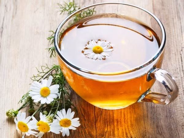 Trà hoa cúc là một trong những loại trà giải độc gan hiệu quả. Ảnh: Như An