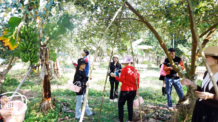 Du khách trải nghiệm tại Trang trại du lịch sinh thái Nhân Đào. Ảnh: mongcai.gov.vn.