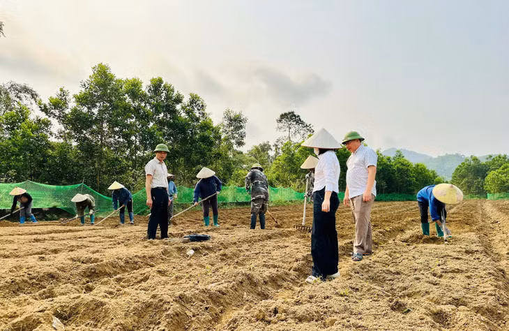 Các đồng chí lãnh đạo xã Quảng Đức động viên nông dân triển khai mô hình trồng cây địa liền trên địa bàn.