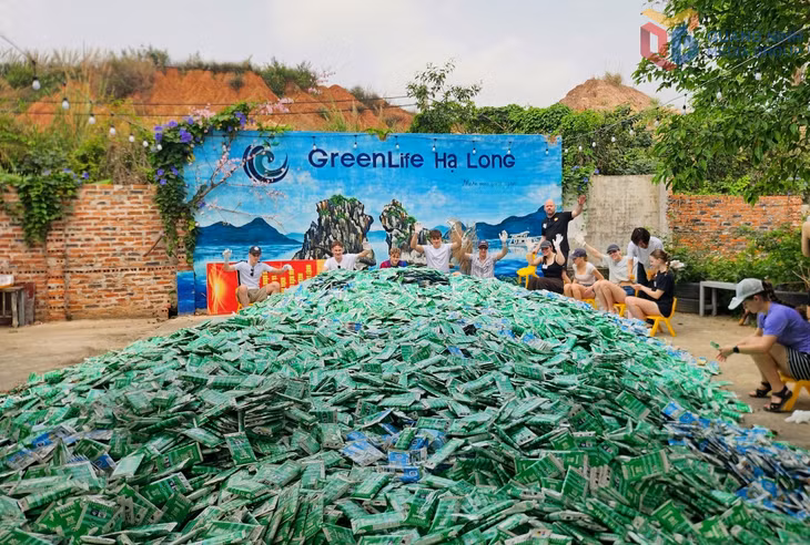 Những vỏ hộp sữa được HTX Green Life Hạ Long thu gom để tái chế.