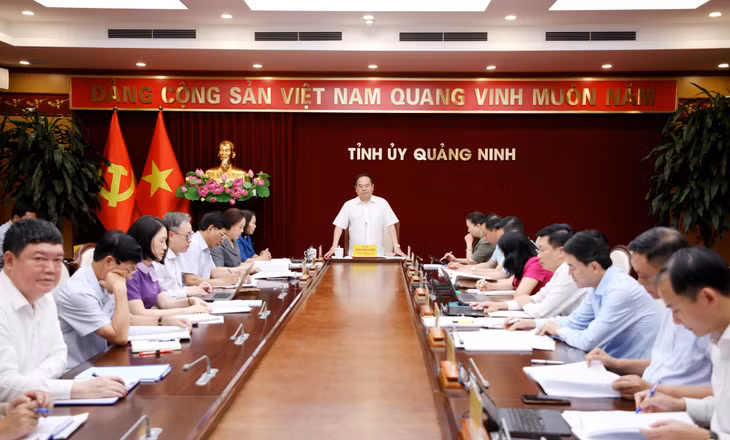 Đồng chí Quản Minh Cường, Ủy viên Trung ương Đảng, Bí thư Tỉnh ủy, Trưởng Đoàn ĐBQH tỉnh, phát biểu chỉ đạo tại buổi làm việc.