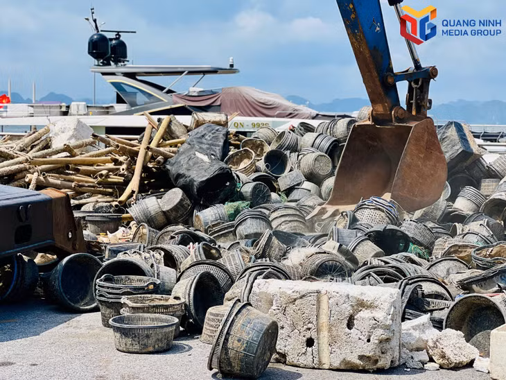 Tiêu hủy các lồng bè tránh tái sử dụng.