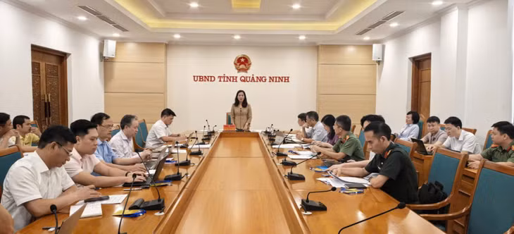 Đồng chí Nguyễn Thị Hạnh, Phó Chủ tịch UBND tỉnh, phát biểu kết luận cuộc họp.
