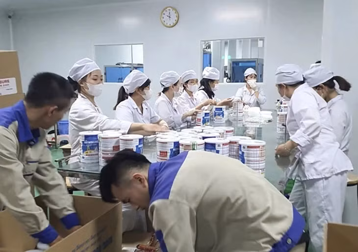 Công nhân đóng hộp thành phẩm sữa giả tại cơ sở sản xuất, chuẩn bị bán ra thị trường - Ảnh: CAND