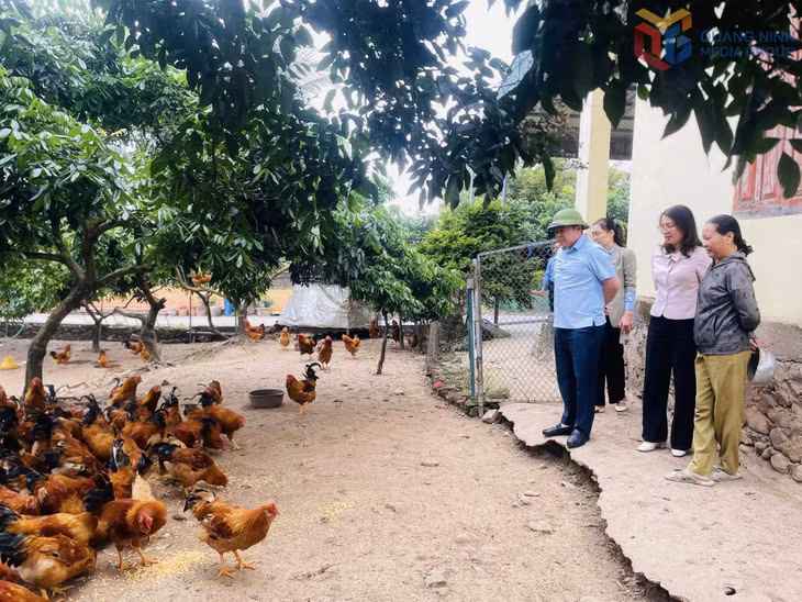Lãnh đạo xã Quảng Tân và Hội LHPN xã thăm mô hình nuôi gà của gia đình bà Đặng Thị Dung (thôn Tân Hòa, xã Quảng Tân).