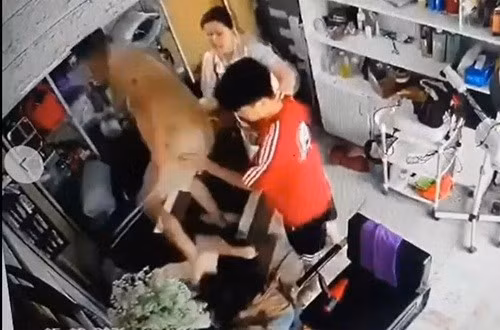 Công an vào cuộc vụ phụ nữ bị đánh trước mặt con nhỏ. Ảnh cắt từ clip