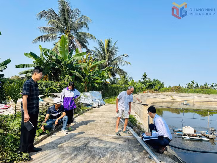 Phường Yên Tử đẩy nhanh giải phóng mặt bằng dự án đường sắt tốc độ cao Hà Nội – Quảng Ninh.