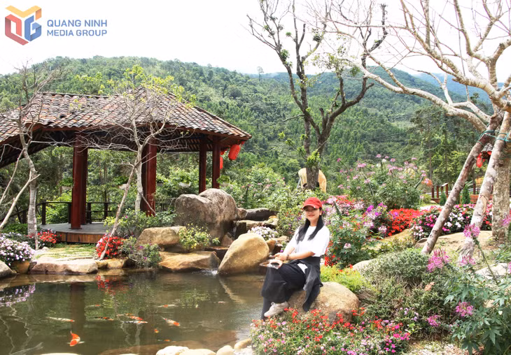 Không gian thiên nhiên trong lành, khoáng đạt, ngập tràn sắc hoa tại Bình Liêu
