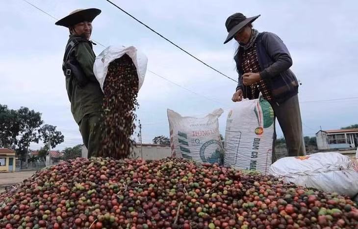 Các mặt hàng chủ lực như thủy sản, gỗ, cà-phê, rau quả, hạt điều, hàng thủ công mỹ nghệ của Việt Nam đều là những nhóm hàng Anh có nhu cầu cao.