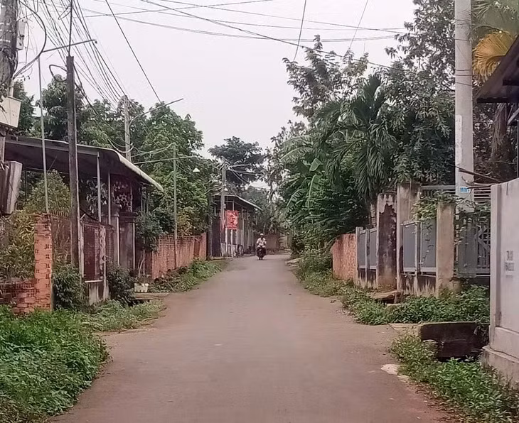 Đường nông thôn ở ấp Tân Lập, xã Sơn Bình, huyện Châu Đức - nơi xảy ra vụ án trưởng ấp có hành vi dâm ô với nữ sinh lớp 9 - Ảnh: Đ.H