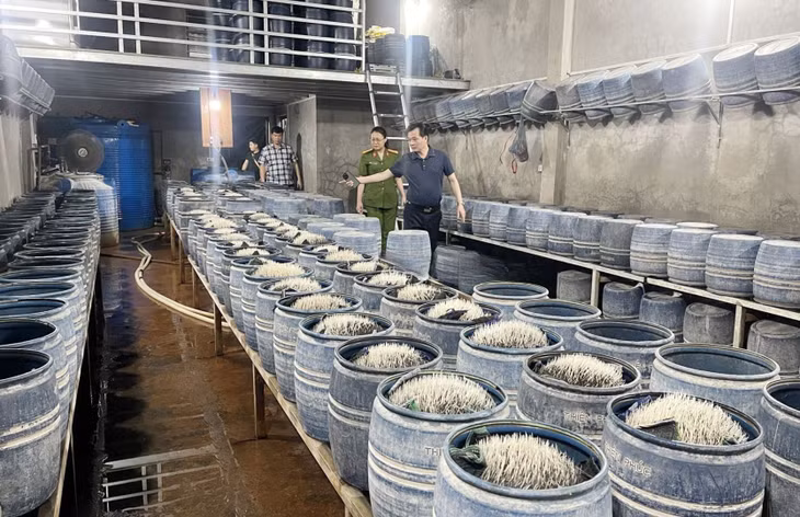 Lực lượng chức năng kiểm tra khu vực sản xuất giá đỗ của gia đình ông Lưu Văn Vẽ. Ảnh: Công an tỉnh Lào Cai