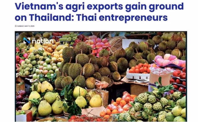 Ảnh chụp màn hình bài viết của tờ The Nation Thái Lan.