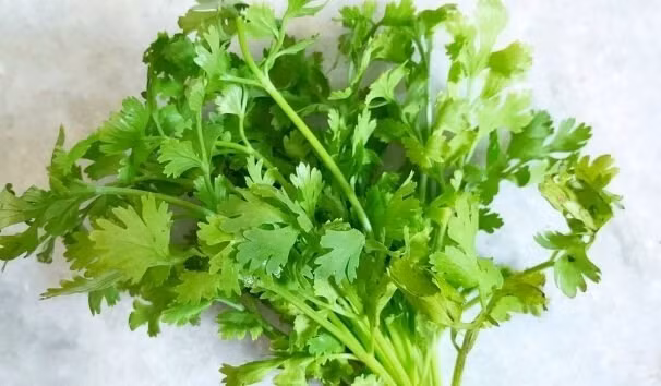 Rau mùi chứa các hợp chất chống ôxy hóa, kháng khuẩn, hỗ trợ thải độc gan. Ảnh: Kiều Vũ.