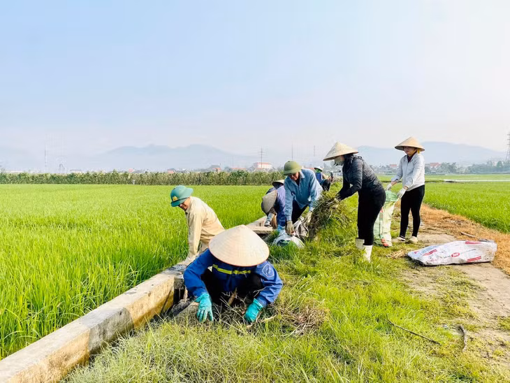 HND phường Phương Đông (TP Uông Bí) ra quân dọn vệ sinh đồng ruộng. Ảnh: HND TP Uông Bí.