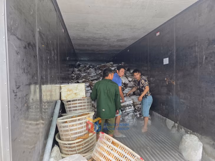 Hàng hóa được cất giấu trong các kho đông lạnh.