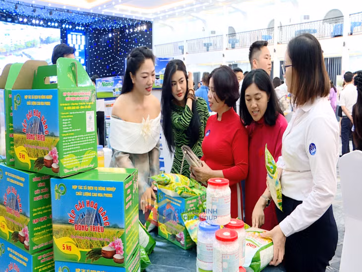 Các gian hàng sản phẩm, dịch vụ của các doanh nhân trẻ Quảng Ninh thu hút nhiều khách hàng, đối tác tham quan.