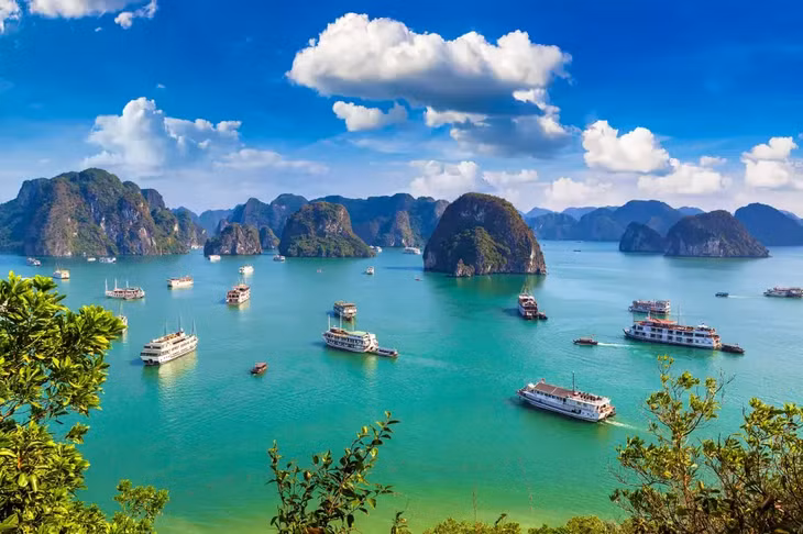 Trải nghiệm tour Vịnh Hạ Long 3 ngày 2 đêm cùng Phê Travel ảnh 2 Trải nghiệm tour Vịnh Hạ Long 3 ngày 2 đêm cùng Phê Travel ảnh 2