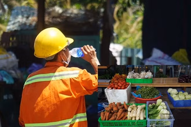Trong mùa nắng nóng, việc lựa chọn thực phẩm phù hợp không chỉ giúp làm mát cơ thể mà còn duy trì sức khỏe đường ruột và cân bằng nội môi. Đồ họa: Cát Tiên