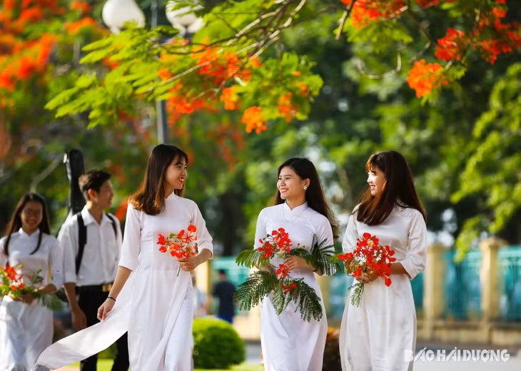 Bất cứ con đường nào ở TP Hải Phòng, thời điểm này cũng rực rỡ hoa phượng đỏ. Trong ảnh: Các thiếu nữ với hoa phượng trên đường ven hồ Quần Ngựa, quận Ngô Quyền