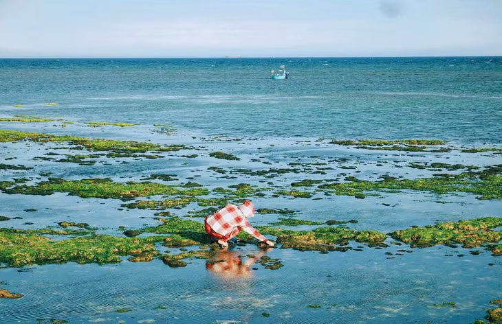 Dù có cảnh đẹp, hoang sơ, không khí trong lành và yên tĩnh, làng chài này chưa phát triển du lịch nên không có nhiều dịch vụ, bờ biển không có người dọn rác… Nếu du khách muốn tìm nơi nghỉ dưỡng sang chảnh, Sơn Hải sẽ không phải lựa chọn lý tưởng. Ảnh: NVCC