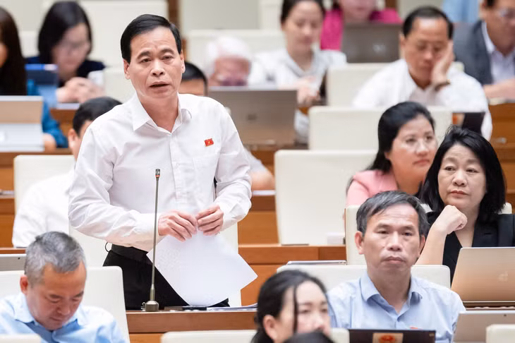 ĐBQH Nguyễn Mạnh Cường (Quảng Bình) phát biểu. Ảnh: Phạm Thắng