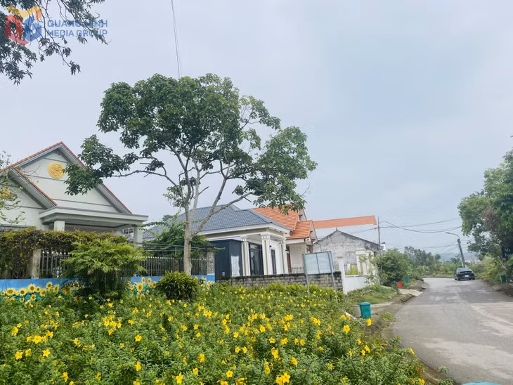 Thôn Hội Phố (xã Đông Hải) sạch đẹp, khang trang từ chương trình xây dựng NTM.