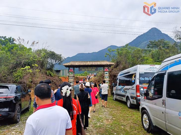 Mỗi năm lễ hội "Hoa sim biên giới" thu hút hàng chục ngàn du khách.