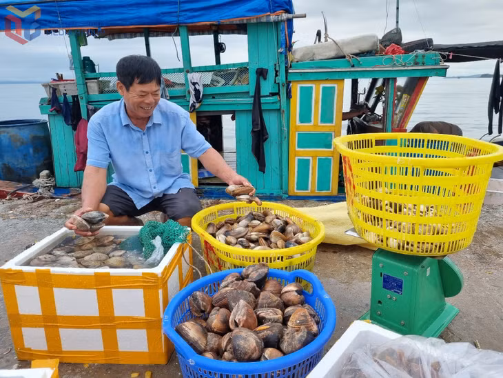 Bến Bắc Vàn (xã Đồng Tiến) là nơi ngư dân tập kết hải sản về bờ sau những chuyến đánh bắt ngoài khơi Cô Tô.