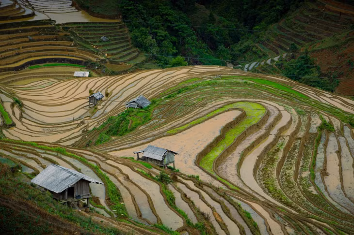 Mùa nước đổ không rực rỡ như mùa lúa chín, không rộn ràng như mùa lễ hội, nhưng lại mang đến một vẻ đẹp thuần khiết và yên bình.