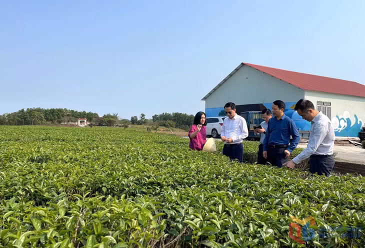 Lãnh đạo Sở KH&amp;CN hướng dẫn, hỗ trợ Công ty TNHH Việt Tú trở thành doanh nghiệp KHCN.